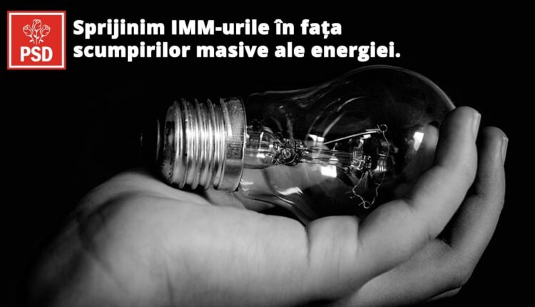 imm-1