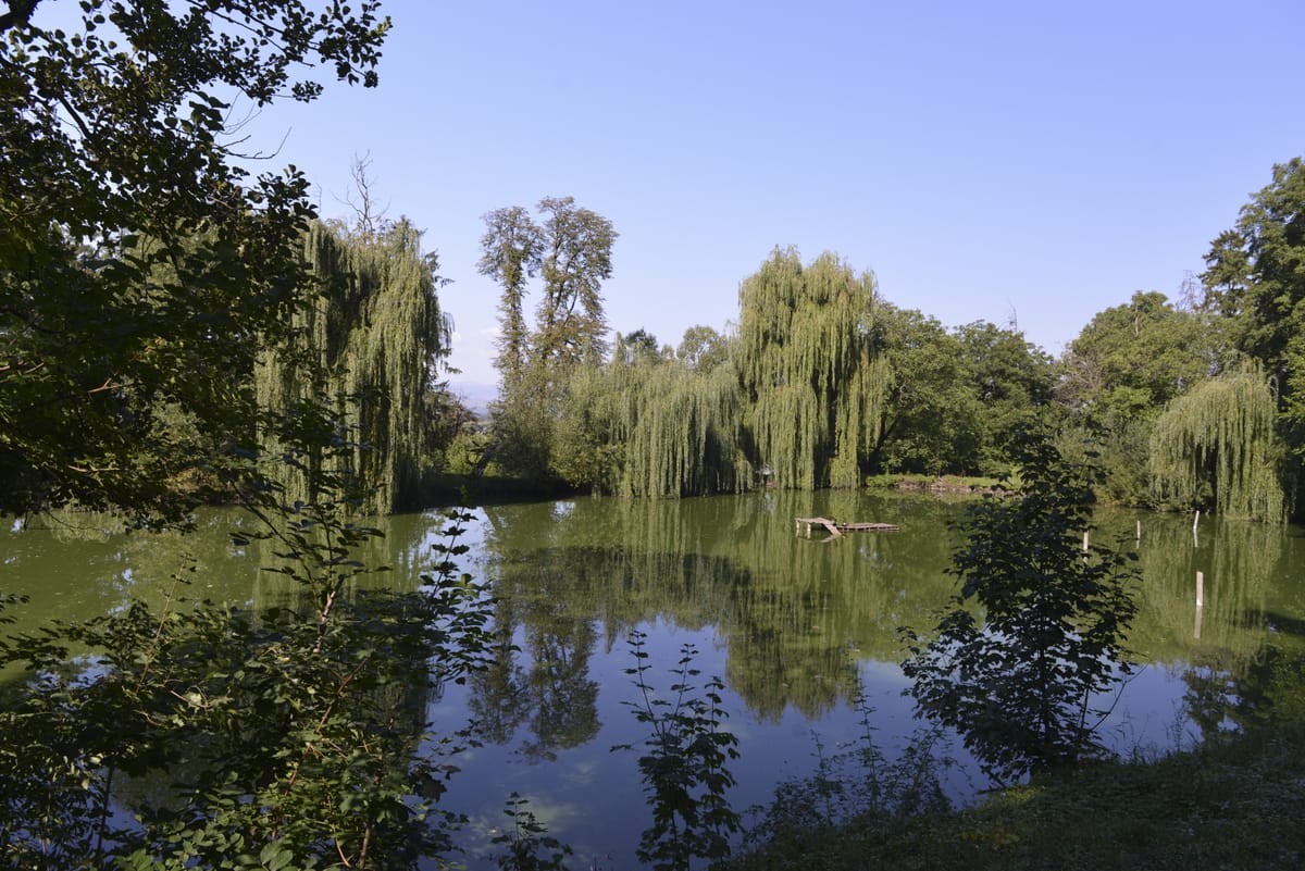 Documentare fotografică a parcului cu lacuri de la conacul din Costișa